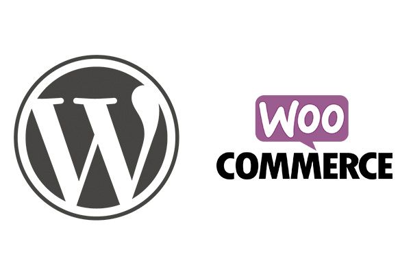 Read more about the article كيف تبدأ متجر الكتروني على WordPress باستخدام WooCommerce  ؟